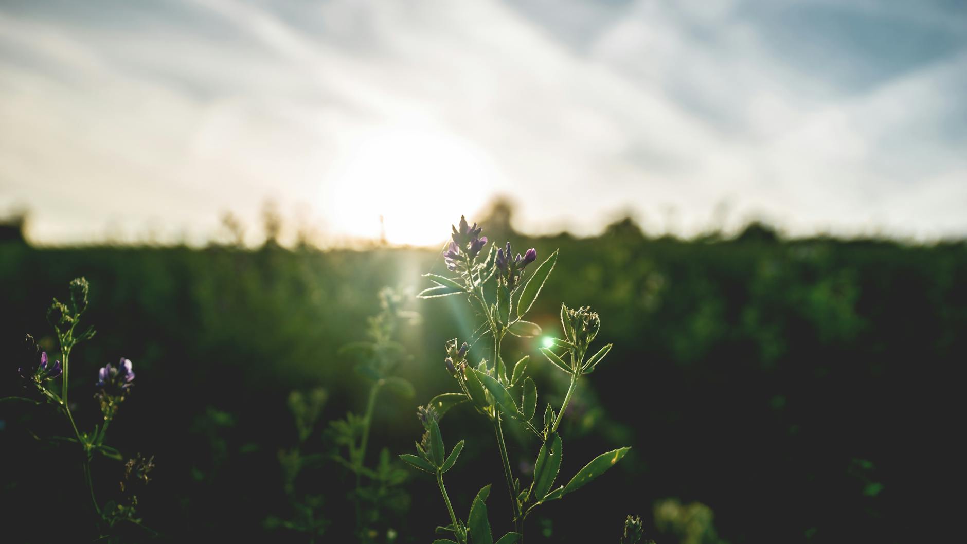 The Power of Morning Routines: Starting Your Day with Intention